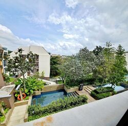 Holland Grove Road (D10), Terrace #497801831